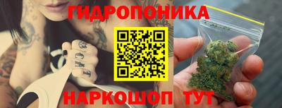 стаф Бузулук